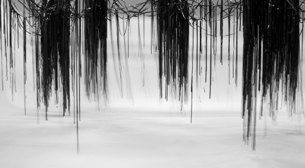 Closeup of artwork showing black threads suspended in clumps