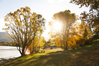 COT scenic 018