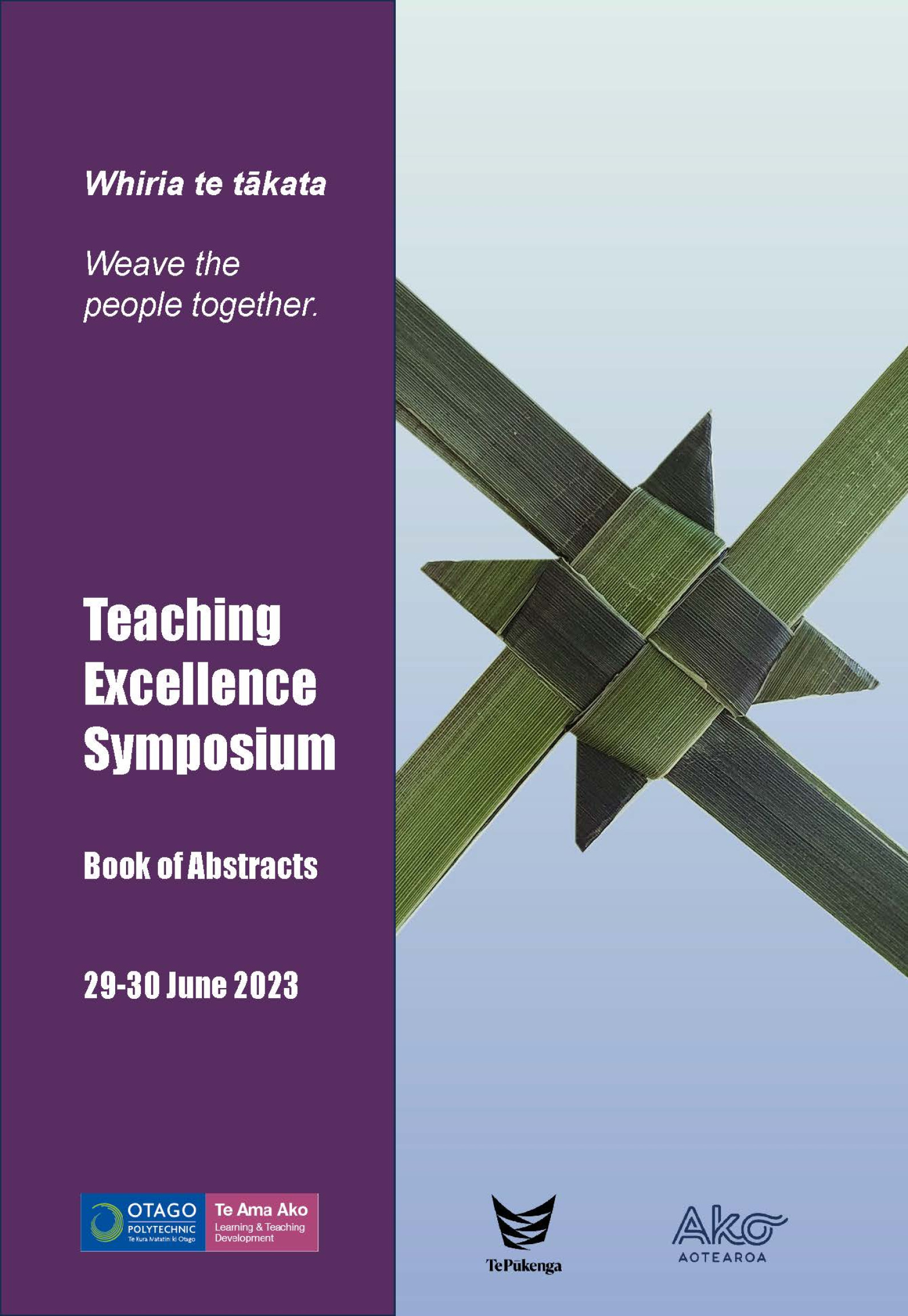 Teaching Excellence Symposium 2023 Book of Abstracts  (1)