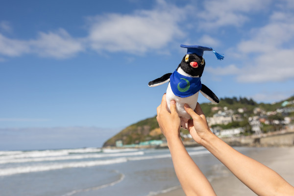 penguin st clair beach 6