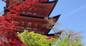 2 JapanTrip 2
