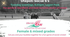 Cricket Social 6s