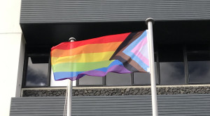 New Rainbow Flag 2