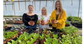 Screenshot 2025 10 20 103539