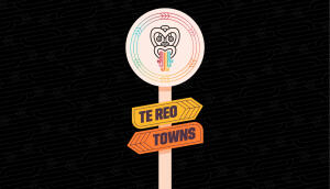 Te Reo Towns Desktop Background Minimal (1)