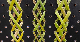 Tukutuku