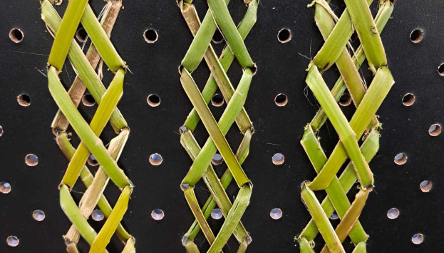 Tukutuku