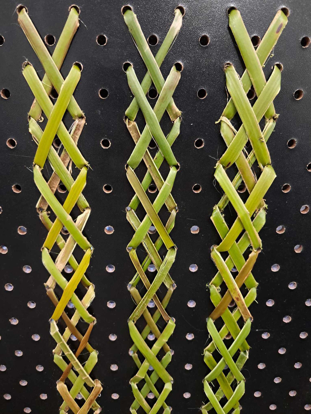 Tukutuku Panels with Tuitui Designs - Otago Polytechnic
