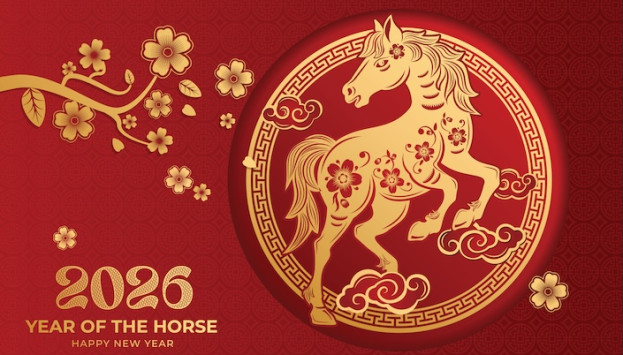 year of the horse
